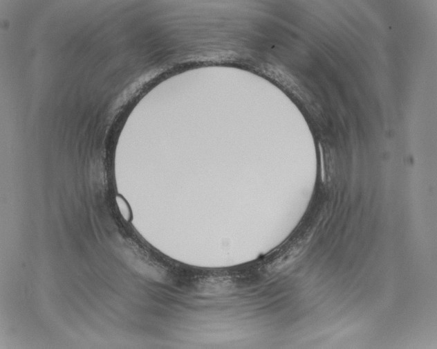 X0000077280252200611171609