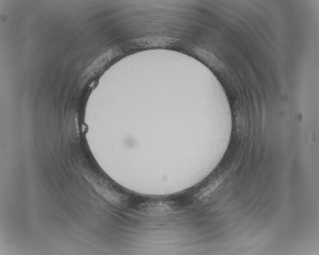 X0000077280254200611171609