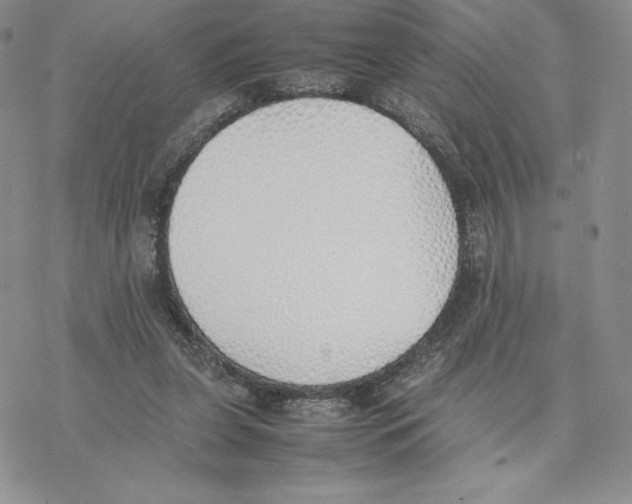 X0000077280255200611171609