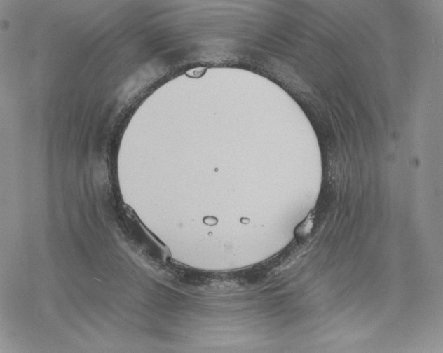 X0000077280256200611171609