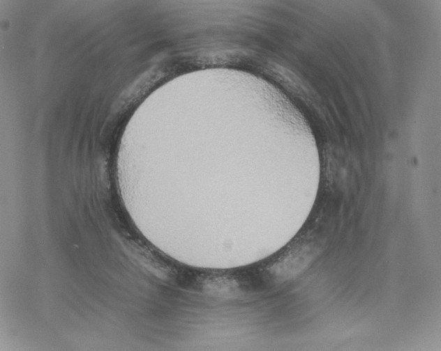 X0000077280258200611171609