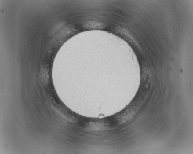 X0000077280259200611171609