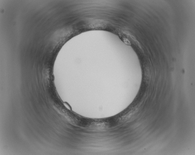 X0000077280260200611171609