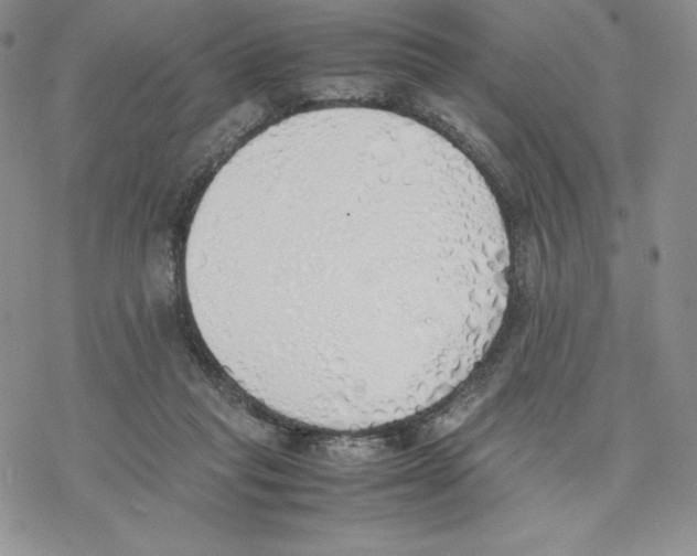 X0000077280261200611171609