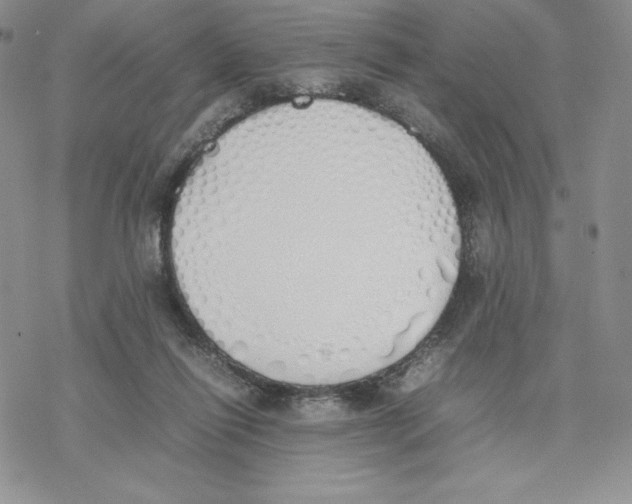 X0000077280262200611171609