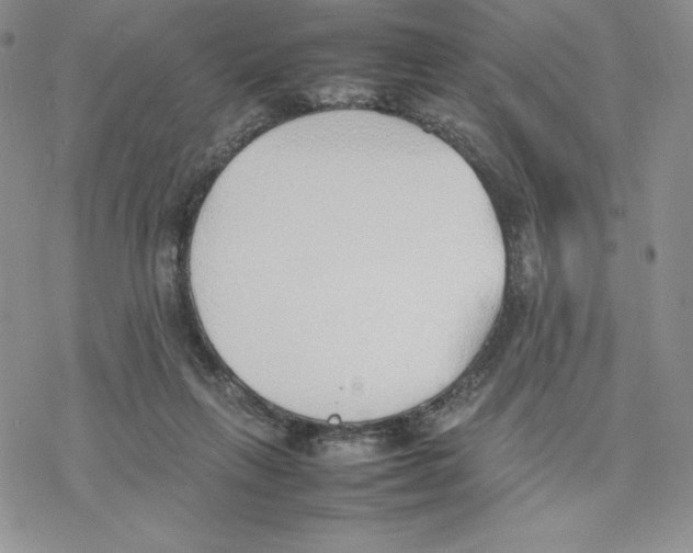 X0000077280263200611171609