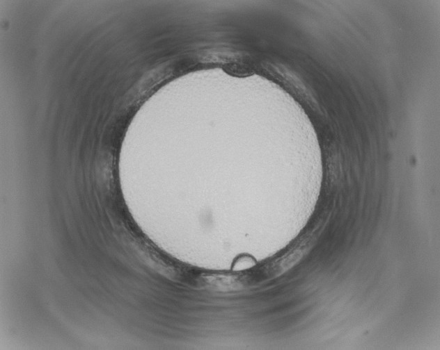 X0000077280265200611171609