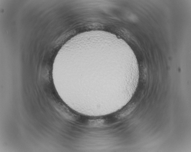 X0000077280266200611171609