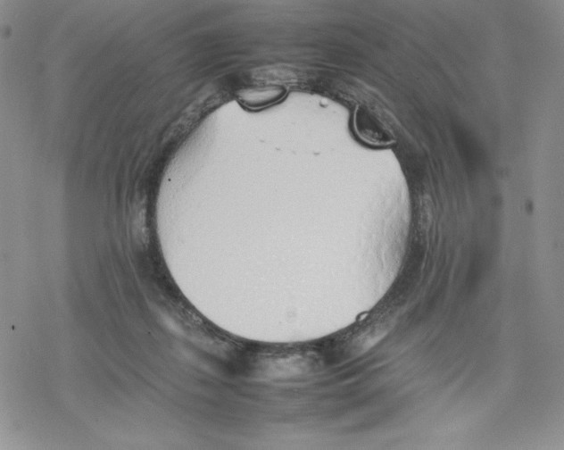 X0000077280267200611171609