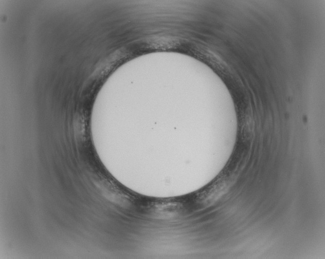 X0000077280268200611171609