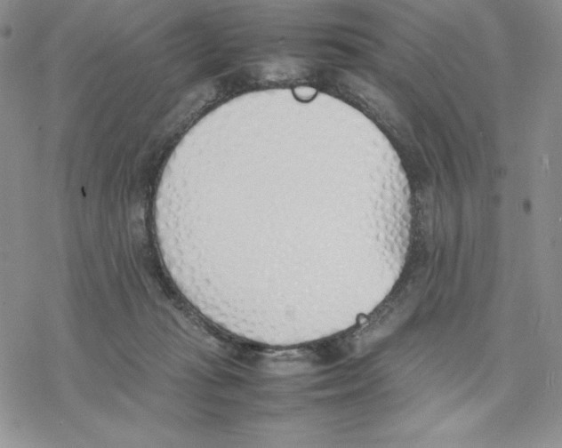 X0000077280269200611171609