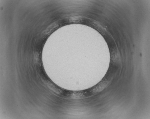 X0000077280270200611171609