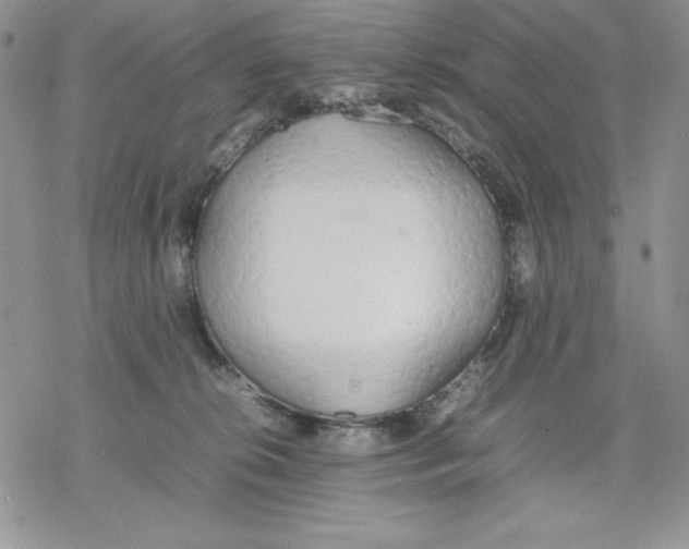 X0000077280276200611171610