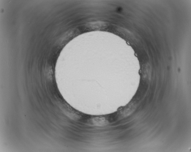 X0000077280279200611171610