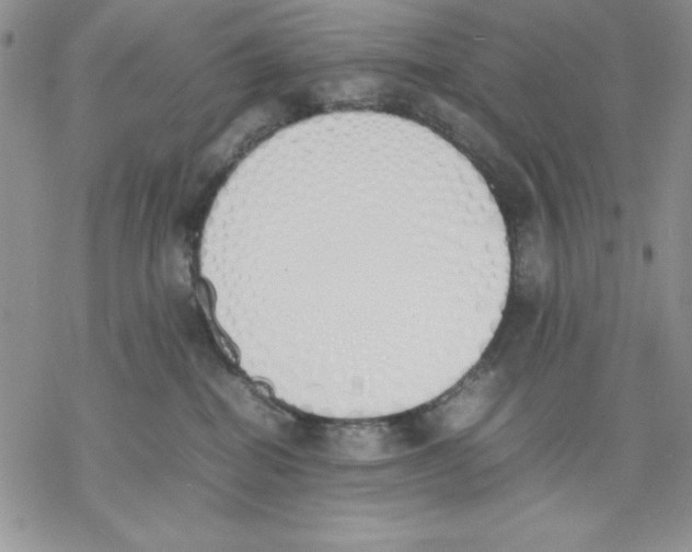 X0000077280282200611171610