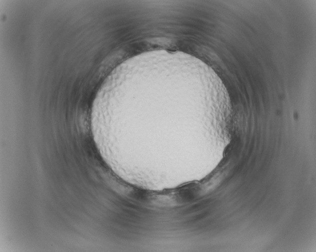 X0000077280285200611171610