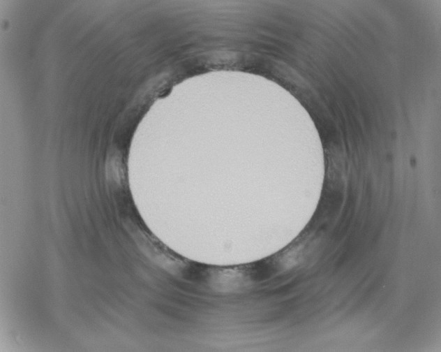 X0000077280287200611171610