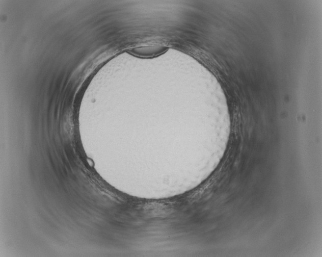 X0000077280290200611171609