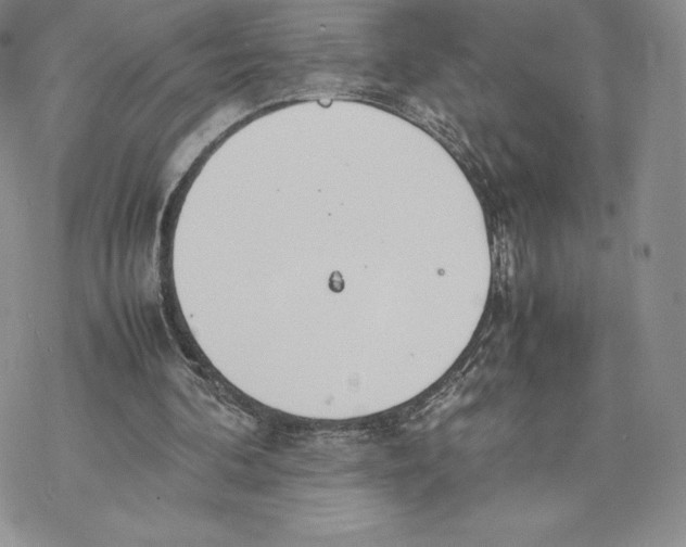 X0000077280292200611171609