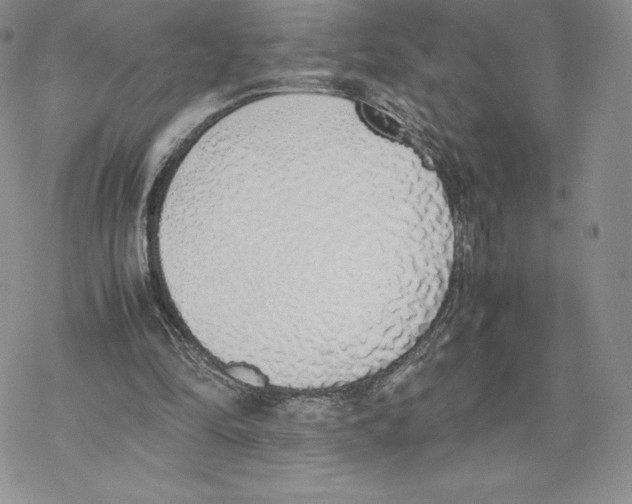 X0000077280294200611171609