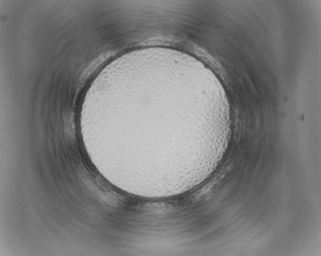 X0000077280298200611171609