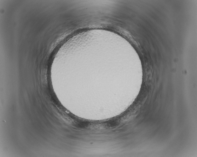 X0000077280299200611171609