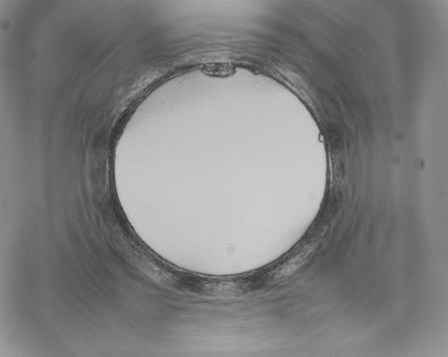 X0000077280301200611171609