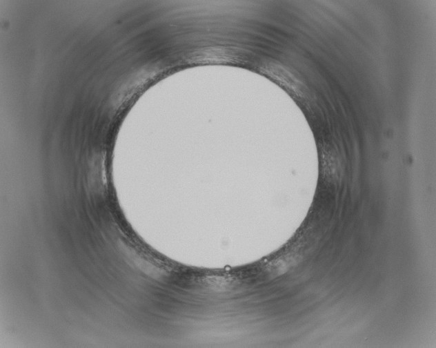 X0000077280302200611171609