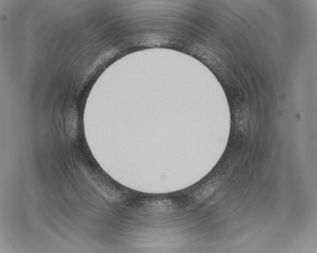 X0000077280304200611171609