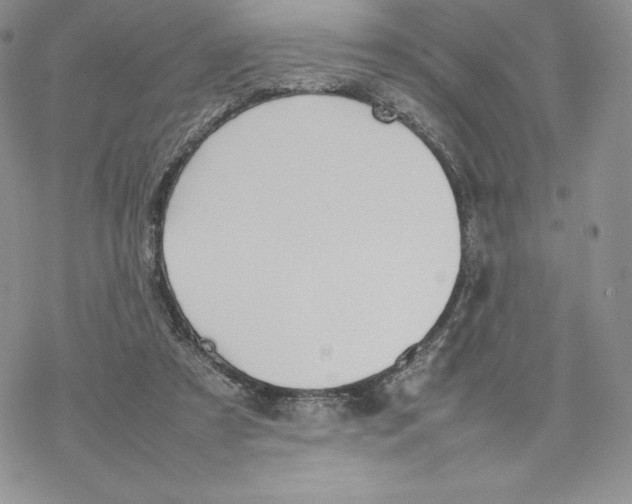 X0000077280305200611171609