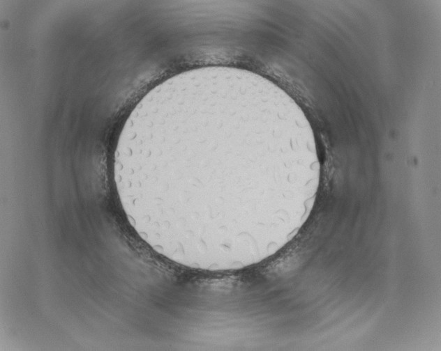 X0000077280306200611171609