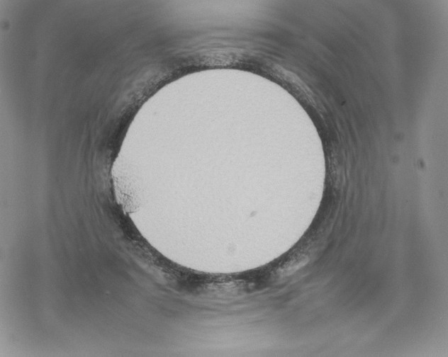 X0000077280307200611171609