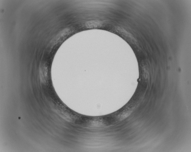 X0000077280308200611171609