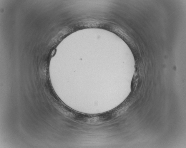 X0000077280309200611171609