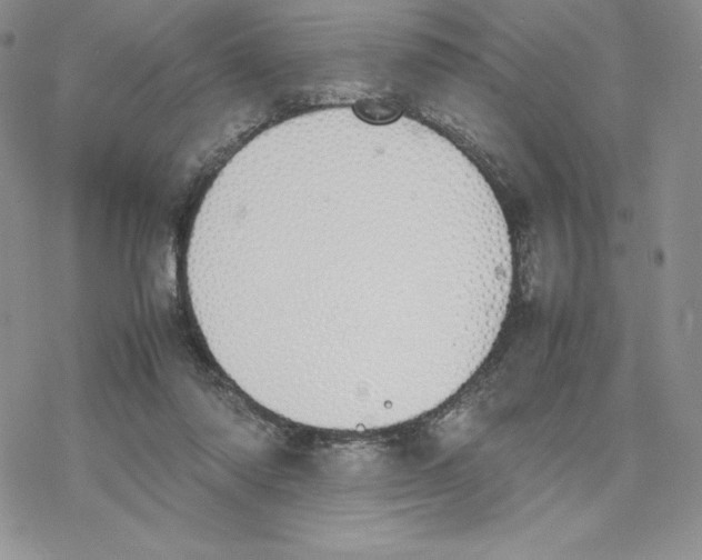 X0000077280310200611171609