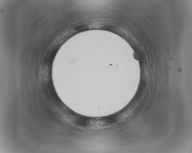 X0000077280311200611171609