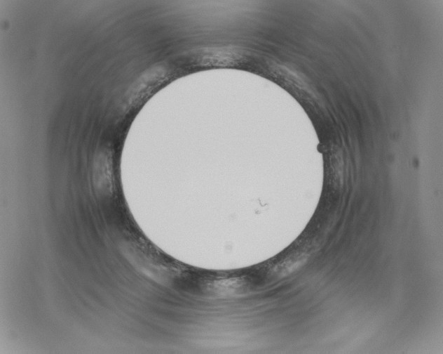 X0000077280312200611171609