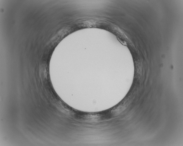 X0000077280313200611171609