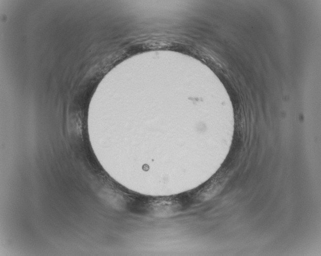 X0000077280315200611171609