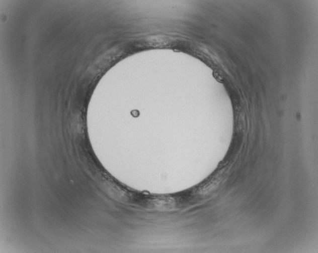 X0000077280317200611171609