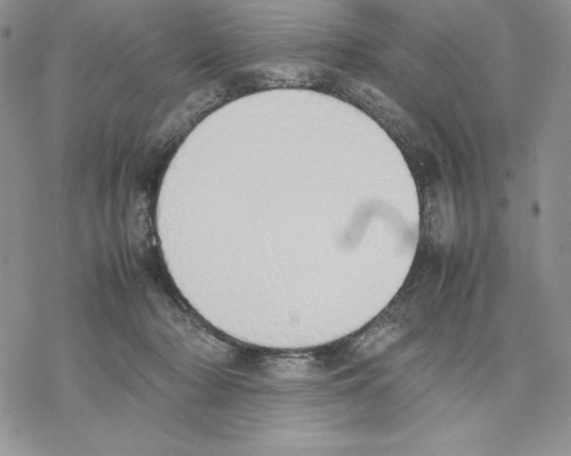 X0000077280318200611171608