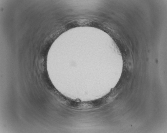 X0000077280319200611171608