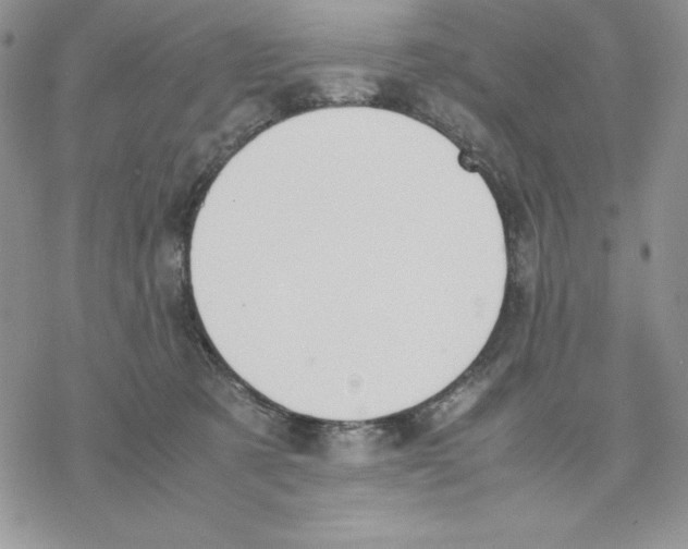 X0000077280321200611171608