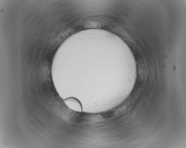 X0000077280322200611171608