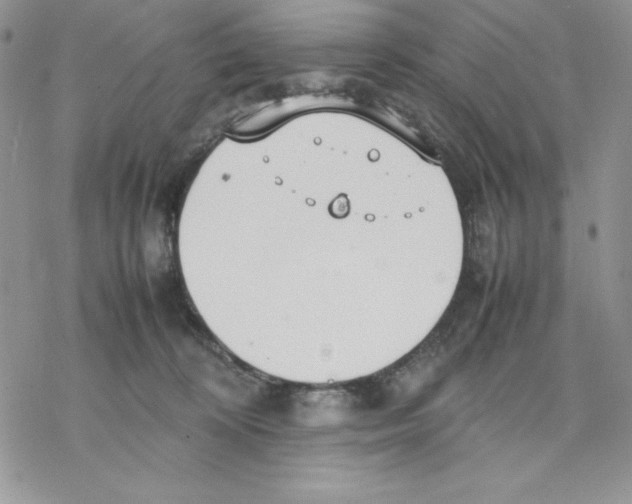 X0000077280324200611171608