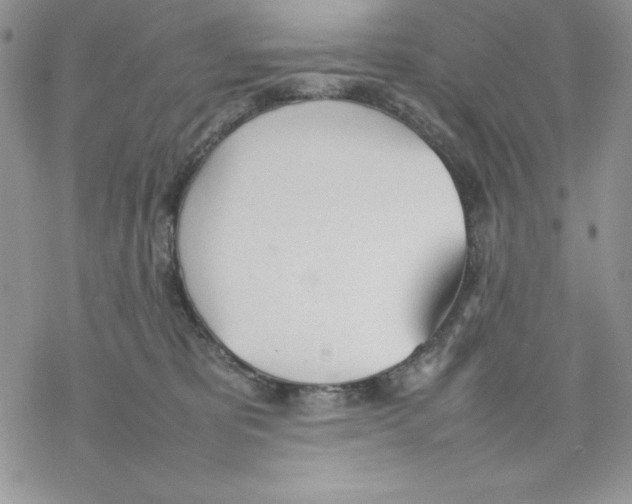 X0000077280325200611171608