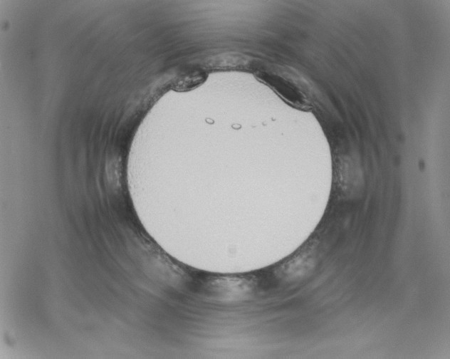 X0000077280326200611171608