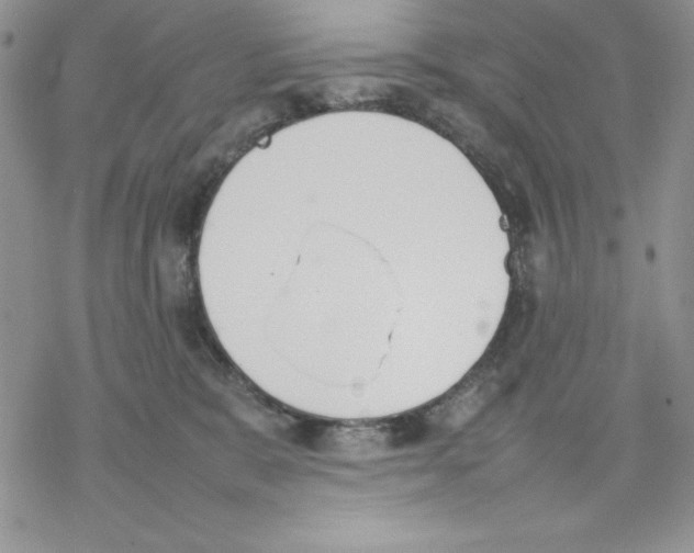 X0000077280327200611171608