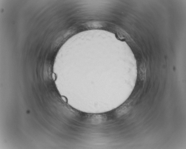 X0000077280330200611171608