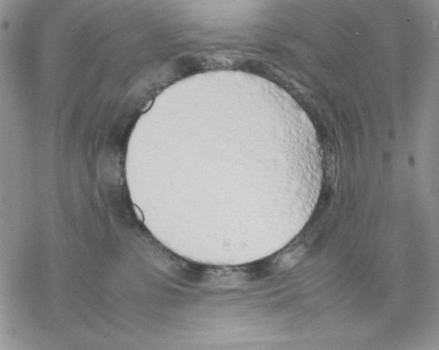 X0000077280331200611171608